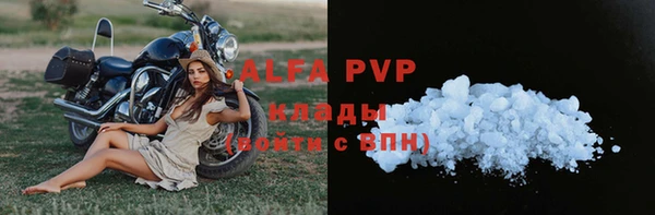 дмт Белокуриха