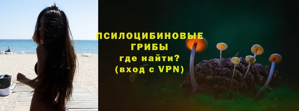 дмт Белокуриха