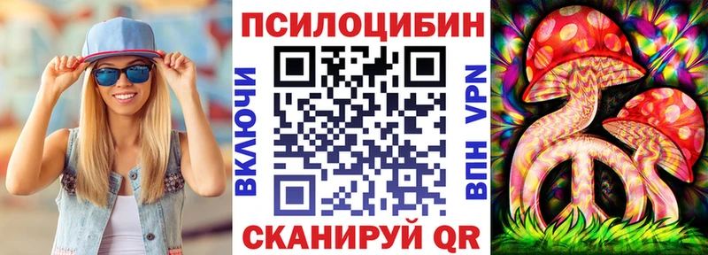 Псилоцибиновые грибы Cubensis  Пионерский 