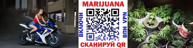 Каннабис конопля  Пионерский 